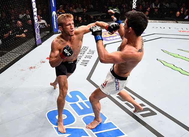 dillashaw-cruz-ufc-fight-night-630.jpg